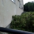IMG_20200720_122406.jpg