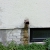 IMG_20200720_122328.jpg